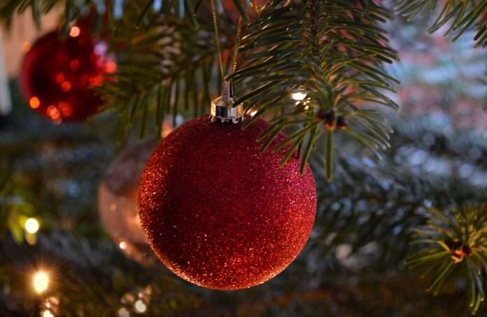 christmas-tree-6870755_1280