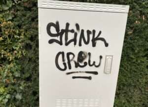 Nieder-olm: stadtbürgermeister dirk hasenfuss bitte um mithilfe