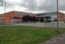 Unternehmen gesucht: Ausbildungsinfotage an der IGS Mainspitze