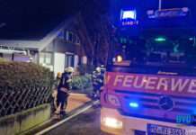 Feuerwehr Ingelheim und Werkfeuerwehr Boehringer im Einsatz