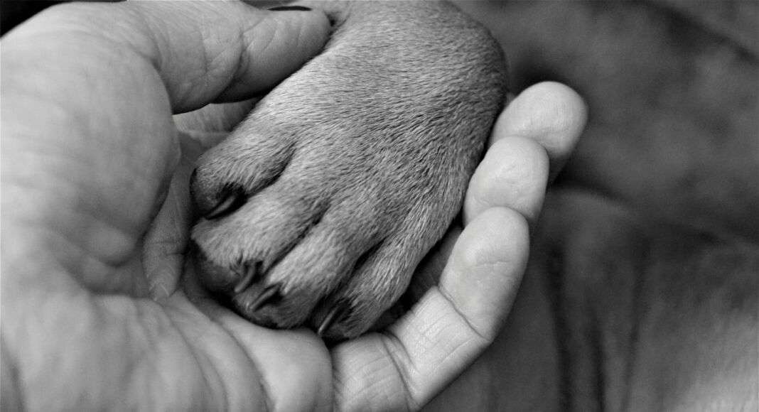 hand g995e52353 1920 hand g995e52353 1920