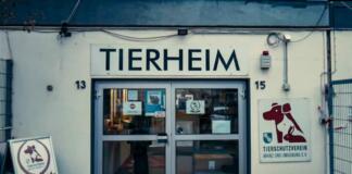 Tierheim Mainz | Foto: BYC-News