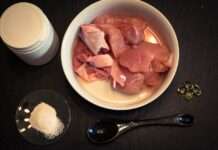 Was ist Barfen? Die natürliche Ernährungsrevolution für Haustiere