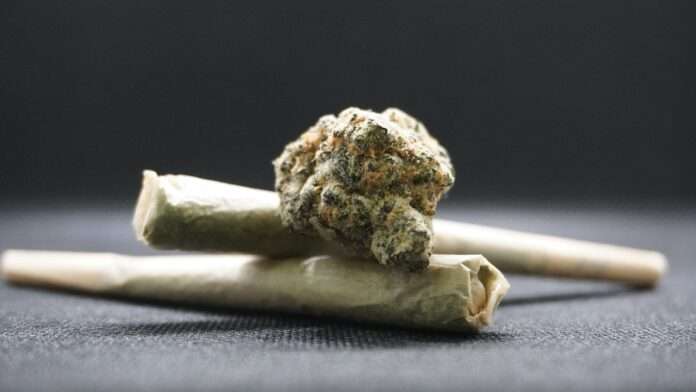Cannabis