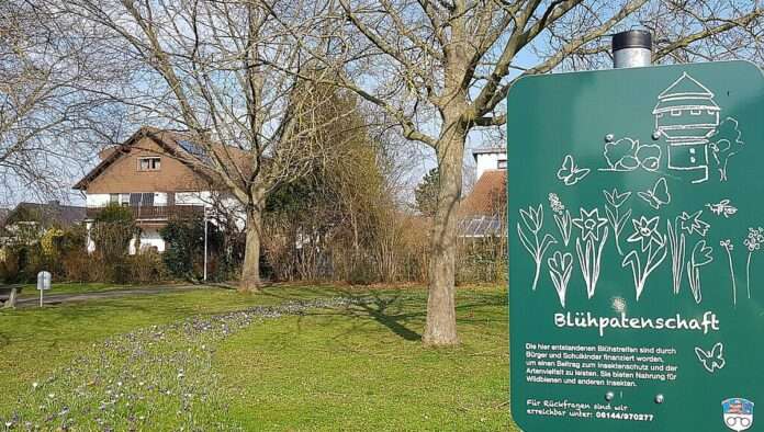 Quelle: Gemeinde Bischofsheim