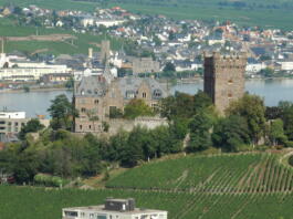 Burg Klopp in Bingen