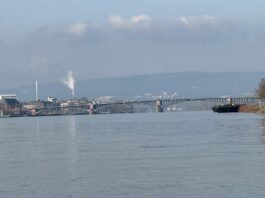 Rhein bei Mainz