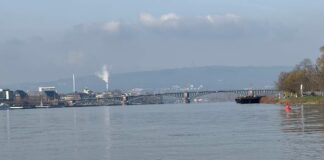 Rhein bei Mainz