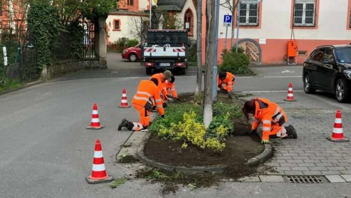 2024-04-02 PflegearbeitenGrünanlagen_c_WolfgangZiebold (Groß)