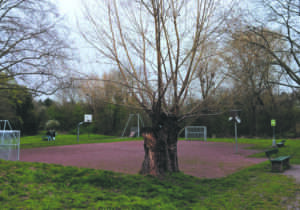 Finther spd lädt zum kinderfest ein