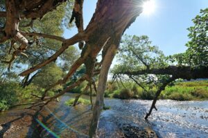 Mann in rüsselsheim erschossen - fahndung der polizei südhessen