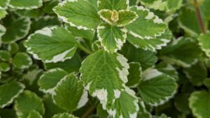 Sommercheck fürs auto: so fahren sie sicher durch den sommer