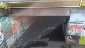 Hochheim news: bekämpfung des eichenprozessionsspinners