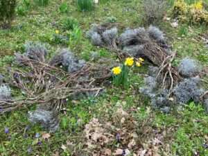 Erneut vandalismus in mainz-finthen - appell vom ortsvorsteher manfred mahle