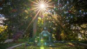 Hauptfriedhof worms - lachen, kichern, weinen erwünscht Hauptfriedhof worms - lachen, kichern, weinen erwünscht