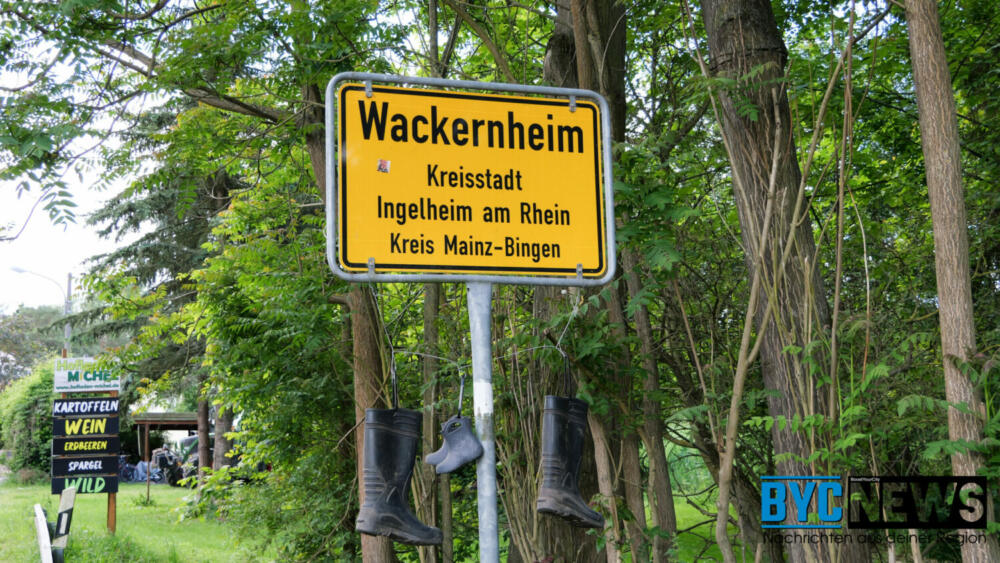 FDP Wackernheim