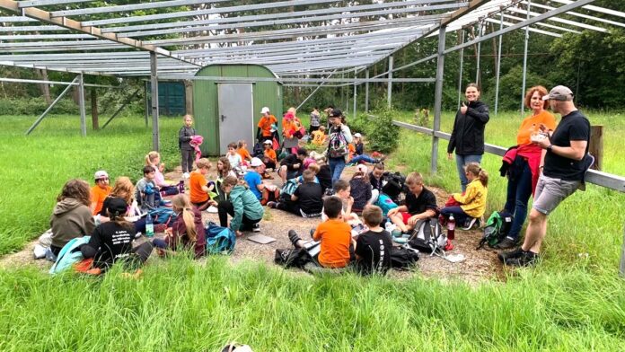 2024-06-26 Ruandamarsch 2024-Rast Waldfestgelände Dromersheimer Wald