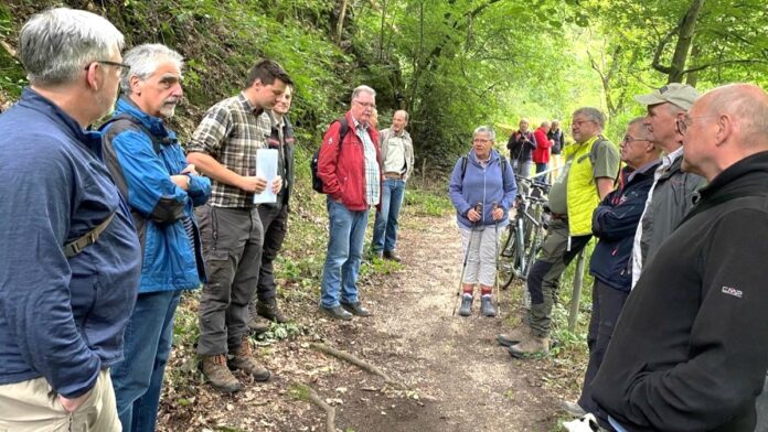 2024-07-05 Waldgang (Benutzerdefiniert) (Groß)
