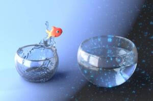 Wie können startups im jahr 2024 das beste aus kontinuierlichem lernen herausholen?