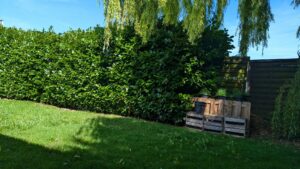 Einbruch in alzeyer lagerhalle - polizei fahndet nach zwei tatverdächtigen