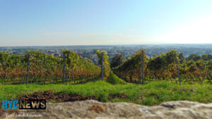 49 gastronomen kämpfen ein letztes mal um den titel 49 gastronomen kämpfen ein letztes mal um den titel