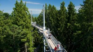 Hafenfest in wiesbaden-schierstein öffnet zum 76. Mal seine pforten