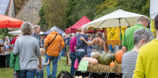 Rheinhessischer Landmarkt