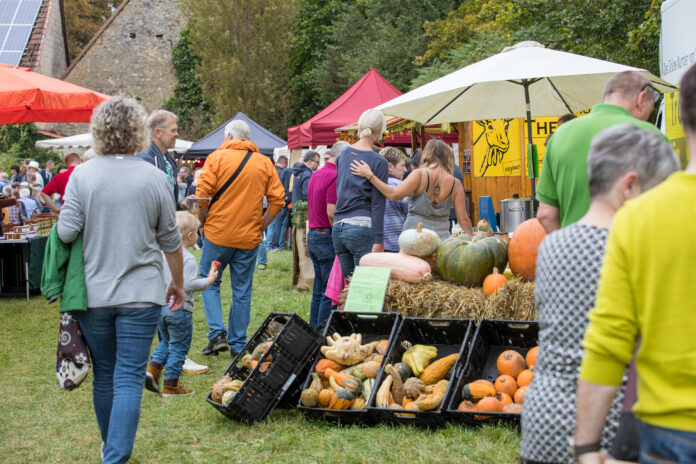 Rheinhessischer Landmarkt