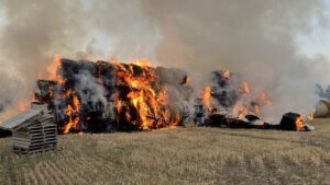 Worms aktuell: strohballenbrand hält die feuerwehr auf trab Worms aktuell: strohballenbrand hält die feuerwehr auf trab