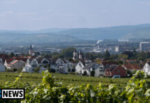 Zahlreiche Aktionen zum World Orange Day in Ingelheim Nachrichten Ingelheim am Rhein