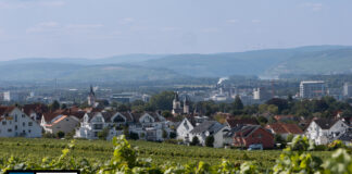 Nachrichten Ingelheim am Rhein