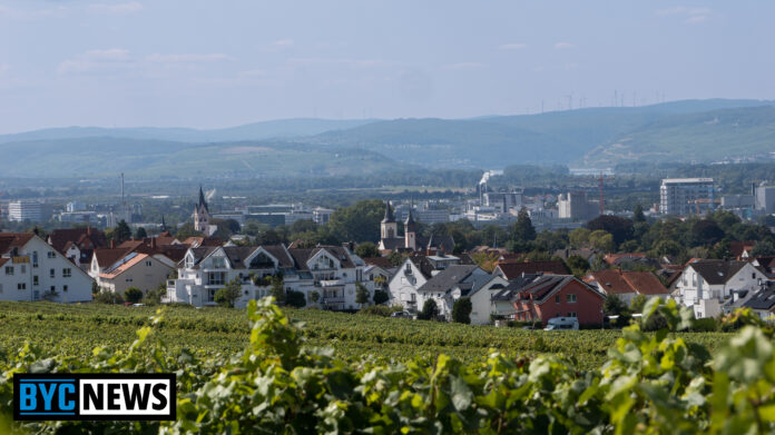 Nachrichten Ingelheim am Rhein