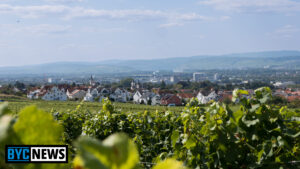 Vollsperrung nach baggerarbeiten bei nackenheim Vollsperrung nach baggerarbeiten bei nackenheim
