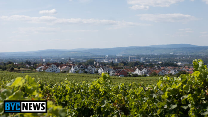 Ingelheim am Rhein5 Kommunen am Limit