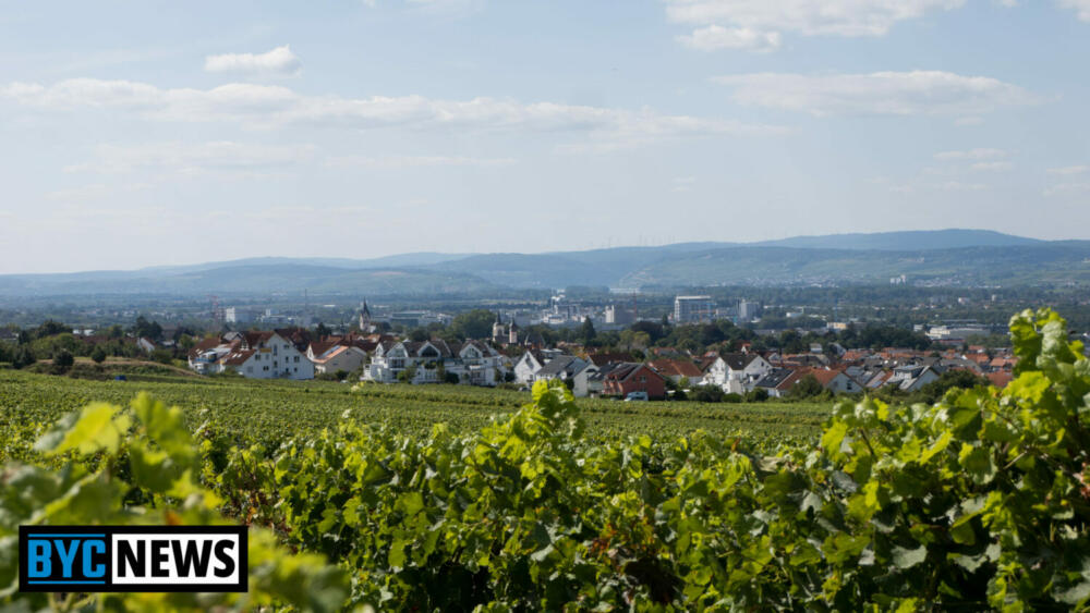 Ingelheim am Rhein5 Kommunen am Limit