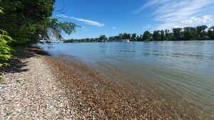 Mars übernimmt kellanova: strategischer schritt im snackmarkt