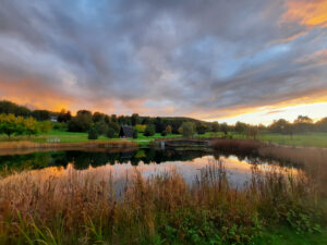 Förderung von e-mobilität: chancen und herausforderungen 1