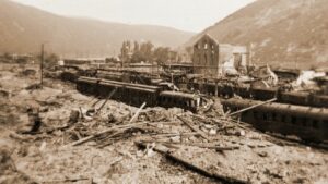 Gemeinsame müllsammelaktion in mörfelden-walldorf