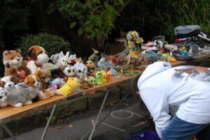 Dauerhafte hundewiese in gernsheim geplant