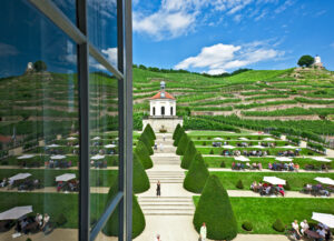 Hundeschwimmen im kallebad wiesbaden