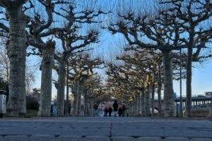 Stadt mainz präsentiert maßnahmen zur anpassung des klimawandels