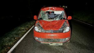 Polizei pirmasens: vw erwischt pferd frontal auf der l474