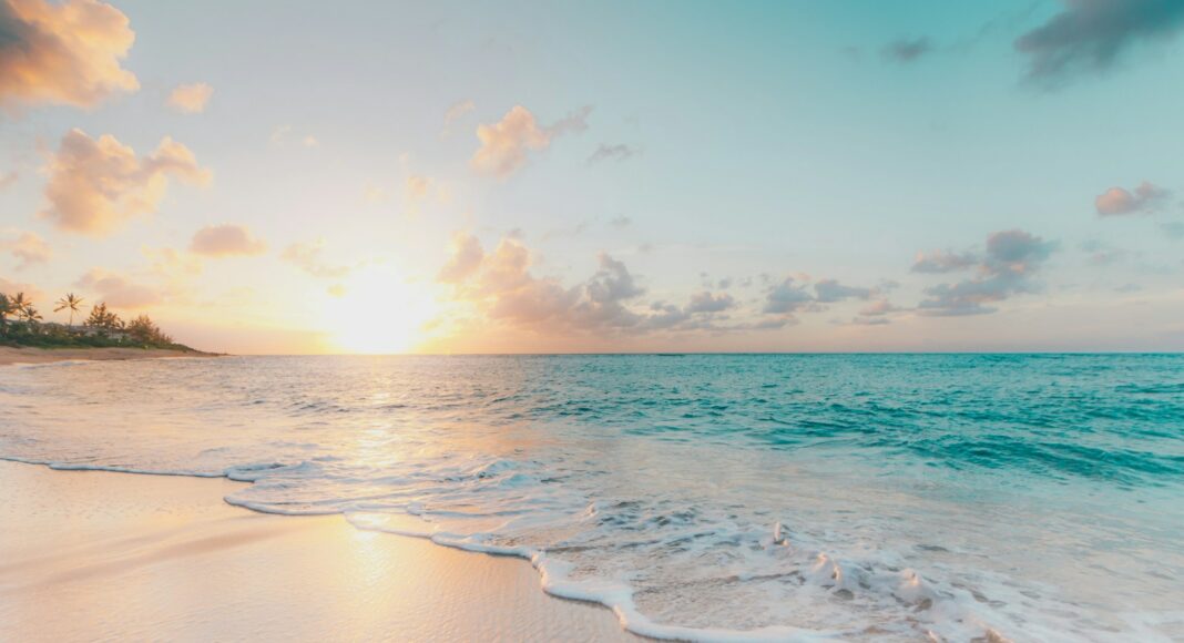 sean-oulashin-KMn4VEeEPR8-unsplash