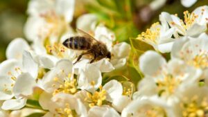Lebensmittelrückruf bei rewe - glasscherben im ja! Produkt 1