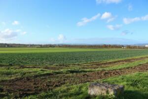Stadt eltville kämpft gegen wilde müllentsorgung