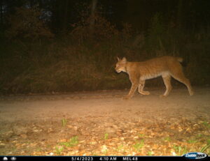 Naturschutztagung in bingen - warum es flächen für den naturschutz braucht?