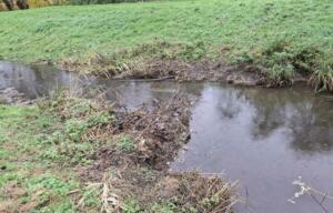 Rückruf von homann salaten wegen metallsplittern 1