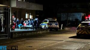 Polizei-einsatz in mainz: bewohner mit messer in psychiatrie gebracht Polizei-einsatz in mainz: bewohner mit messer in psychiatrie gebracht