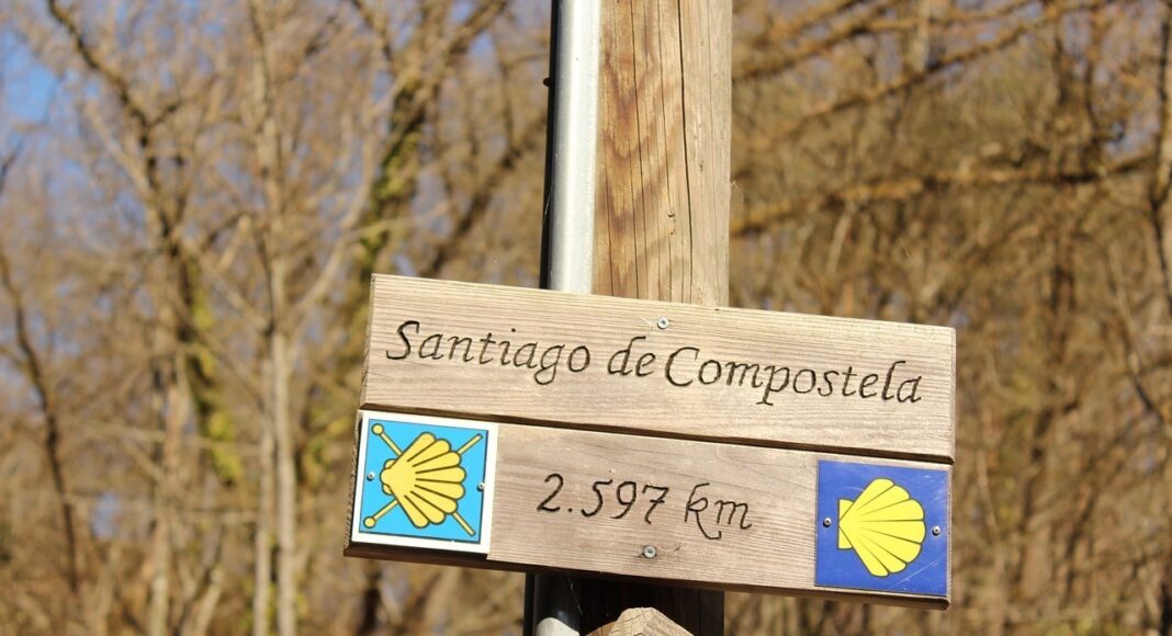 nature-3306920_1280__2_