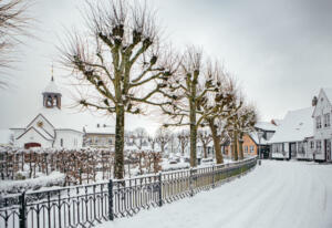 Ehrungen bei der cdu nierstein-schwabsburg-dexheim